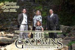 The Goodwins