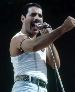 Mercury Freddie