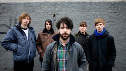 Foals