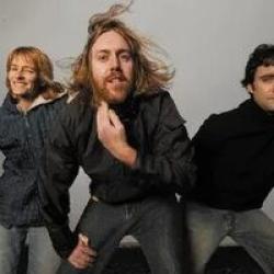 Spiderbait